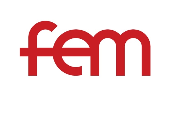 FEM